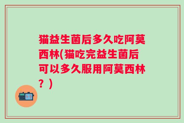 猫益生菌后多久吃阿莫西林(猫吃完益生菌后可以多久服用阿莫西林？)