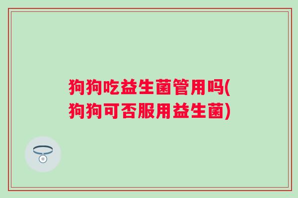狗狗吃益生菌管用吗(狗狗可否服用益生菌)