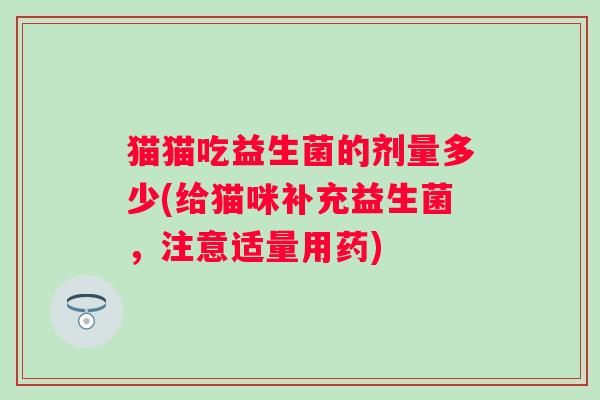 猫猫吃益生菌的剂量多少(给猫咪补充益生菌，注意适量用药)