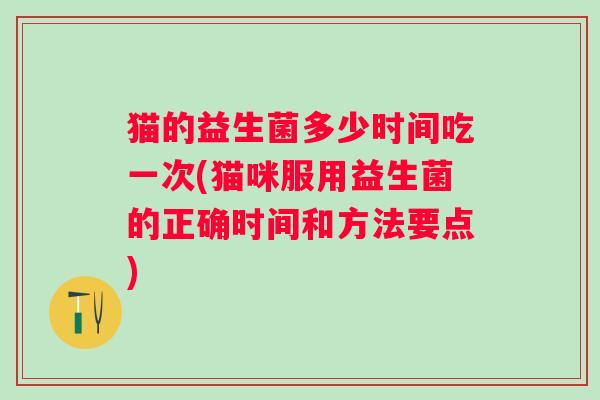猫的益生菌多少时间吃一次(猫咪服用益生菌的正确时间和方法要点)