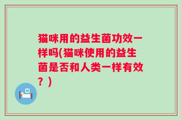 猫咪用的益生菌功效一样吗(猫咪使用的益生菌是否和人类一样有效？)