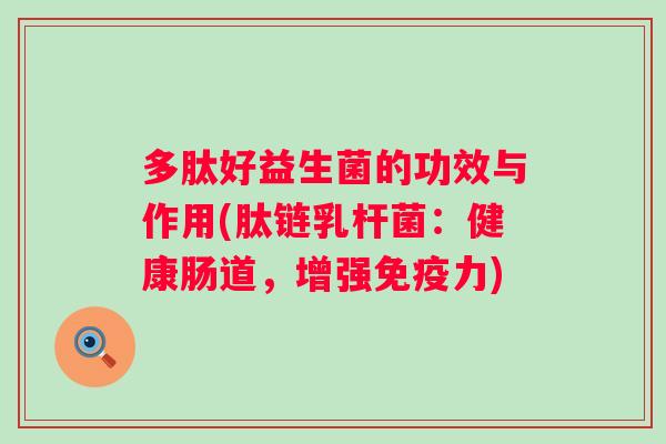 多肽好益生菌的功效与作用(肽链乳杆菌：健康肠道，增强力)