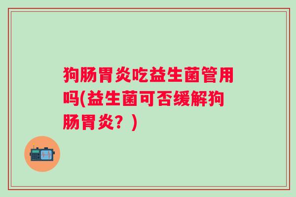狗肠吃益生菌管用吗(益生菌可否缓解狗肠？)