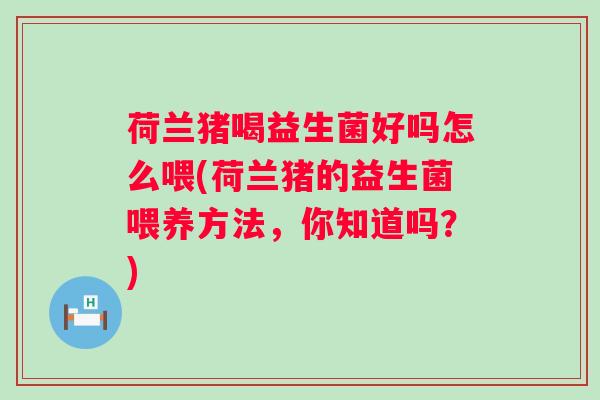 荷兰猪喝益生菌好吗怎么喂(荷兰猪的益生菌喂养方法，你知道吗？)