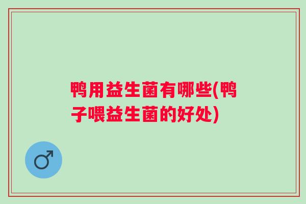 鸭用益生菌有哪些(鸭子喂益生菌的好处) 鸭用益生菌有哪些(鸭子喂益生菌的好处)