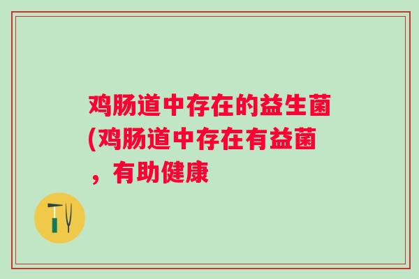 鸡肠道中存在的益生菌(鸡肠道中存在有益菌,有助健康 鸡肠道中存在的益生菌(鸡肠道中存在有益菌,有助健康