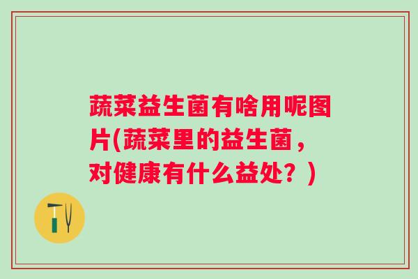 蔬菜益生菌有啥用呢图片(蔬菜里的益生菌,对健康有什么益处?) 蔬菜益生菌有啥用呢图片(蔬菜里的益生菌,对健康有什么益处?)