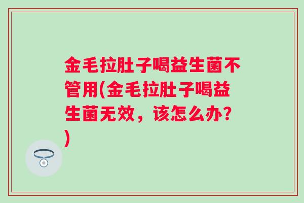 金毛拉肚子喝益生菌不管用(金毛拉肚子喝益生菌无效，该怎么办？)