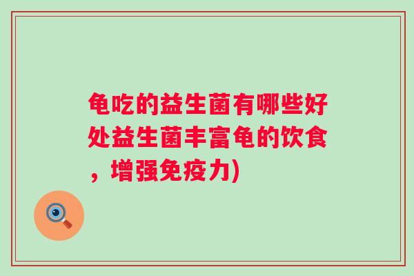 龟吃的益生菌有哪些好处益生菌丰富龟的饮食，增强力)