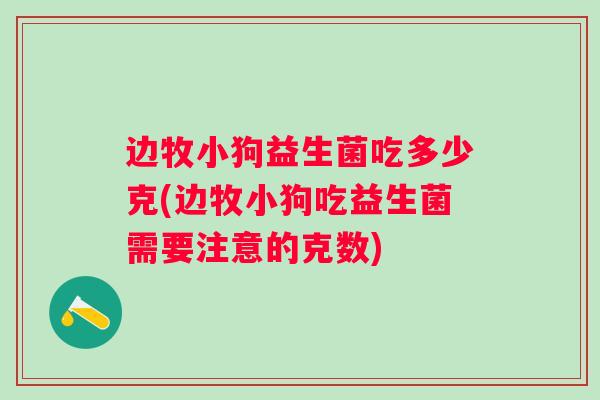 边牧小狗益生菌吃多少克(边牧小狗吃益生菌需要注意的克数)