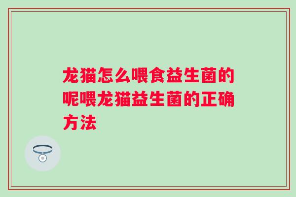 龙猫怎么喂食益生菌的呢喂龙猫益生菌的正确方法