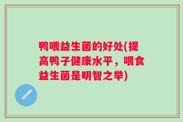 鸭喂益生菌的好处(提高鸭子健康水平，喂食益生菌是明智之举)