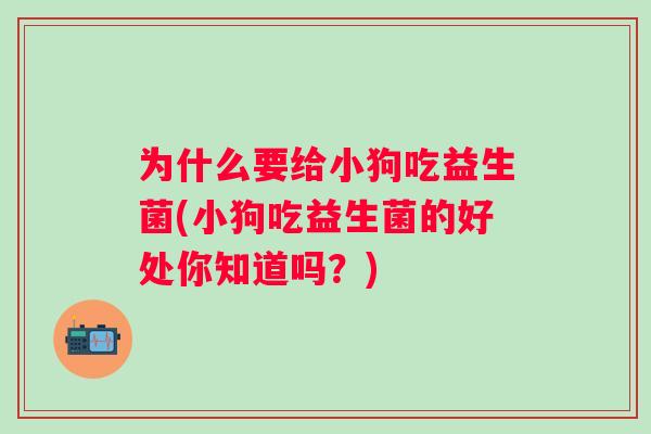 为什么要给小狗吃益生菌(小狗吃益生菌的好处你知道吗？)