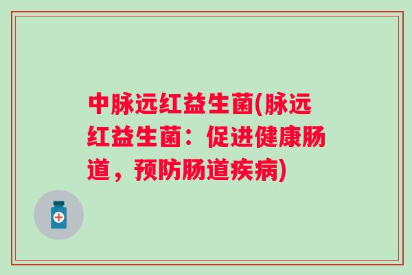 中脉远红益生菌(脉远红益生菌：促进健康肠道，肠道)