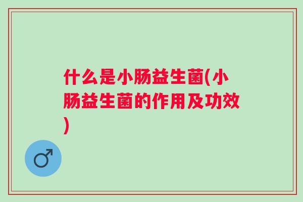 什么是小肠益生菌(小肠益生菌的作用及功效)