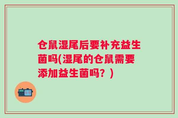 仓鼠湿尾后要补充益生菌吗(湿尾的仓鼠需要添加益生菌吗？)
