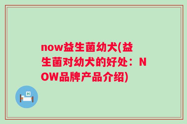 now益生菌幼犬(益生菌对幼犬的好处：NOW品牌产品介绍)