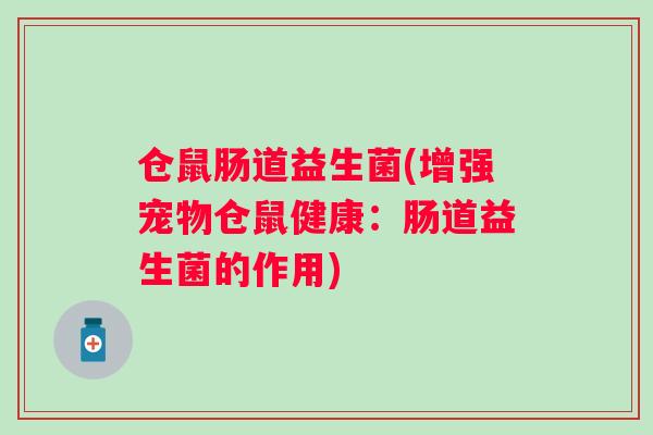 仓鼠肠道益生菌(增强宠物仓鼠健康:肠道益生菌的作用) 仓鼠肠道益生菌(增强宠物仓鼠健康:肠道益生菌的作用)