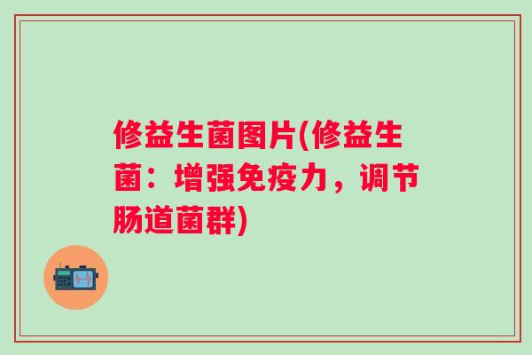 修益生菌图片(修益生菌:增强力,调节肠道菌群) 修益生菌图片(修益生菌:增强力,调节肠道菌群)