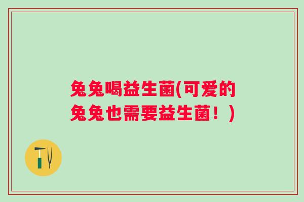 兔兔喝益生菌(可爱的兔兔也需要益生菌！)