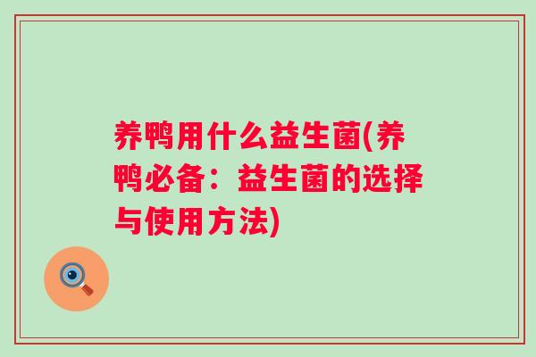养鸭用什么益生菌(养鸭必备：益生菌的选择与使用方法)