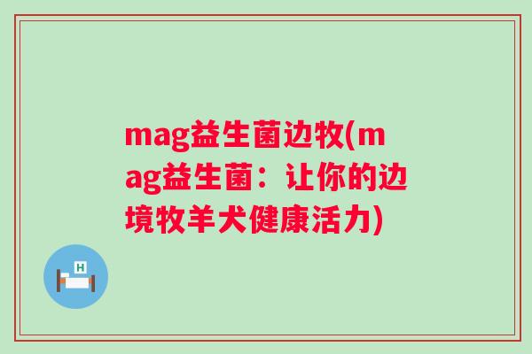 mag益生菌边牧(mag益生菌：让你的边境牧羊犬健康活力)