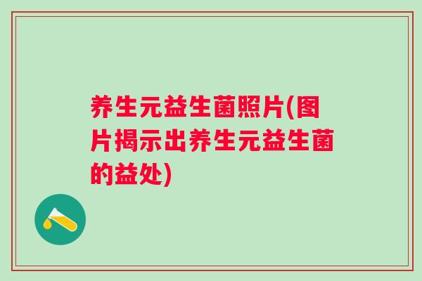 养生元益生菌照片(图片揭示出养生元益生菌的益处) 养生元益生菌照片(图片揭示出养生元益生菌的益处)