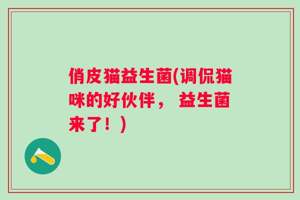 俏皮猫益生菌(调侃猫咪的好伙伴, 益生菌来了!) 俏皮猫益生菌(调侃猫咪的好伙伴, 益生菌来了!)