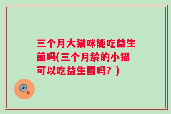 三个月大猫咪能吃益生菌吗(三个月龄的小猫可以吃益生菌吗？)