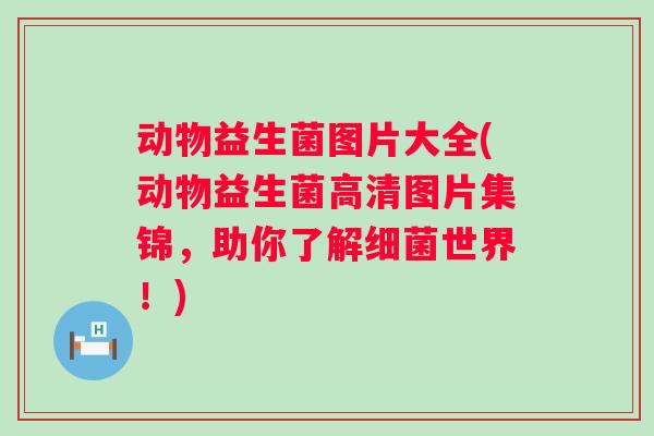 动物益生菌图片大全(动物益生菌高清图片集锦，助你了解世界！)