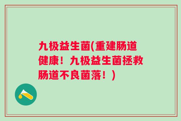 九极益生菌(重建肠道健康！九极益生菌拯救肠道不良菌落！)