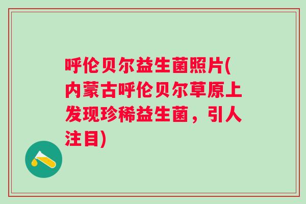 呼伦贝尔益生菌照片(内蒙古呼伦贝尔草原上发现珍稀益生菌，引人注目)