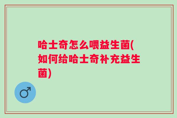 哈士奇怎么喂益生菌(如何给哈士奇补充益生菌) 哈士奇怎么喂益生菌(如何给哈士奇补充益生菌)