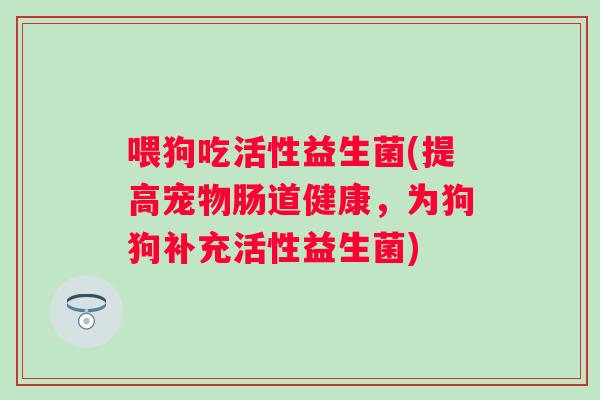 喂狗吃活性益生菌(提高宠物肠道健康,为狗狗补充活性益生菌) 喂狗吃活性益生菌(提高宠物肠道健康,为狗狗补充活性益生菌)
