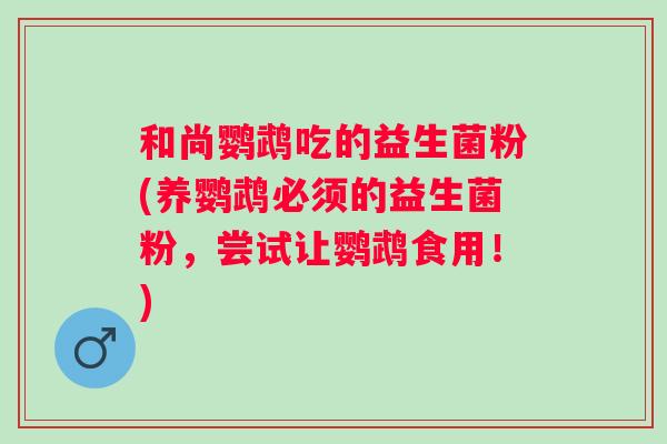 和尚鹦鹉吃的益生菌粉(养鹦鹉必须的益生菌粉,尝试让鹦鹉食用!) 和尚鹦鹉吃的益生菌粉(养鹦鹉必须的益生菌粉,尝试让鹦鹉食用!)