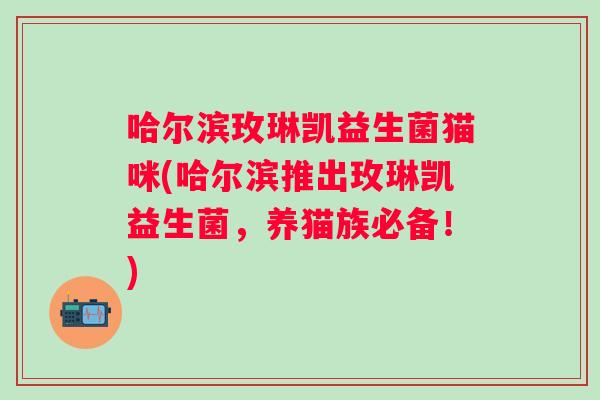 哈尔滨玫琳凯益生菌猫咪(哈尔滨推出玫琳凯益生菌，养猫族必备！)