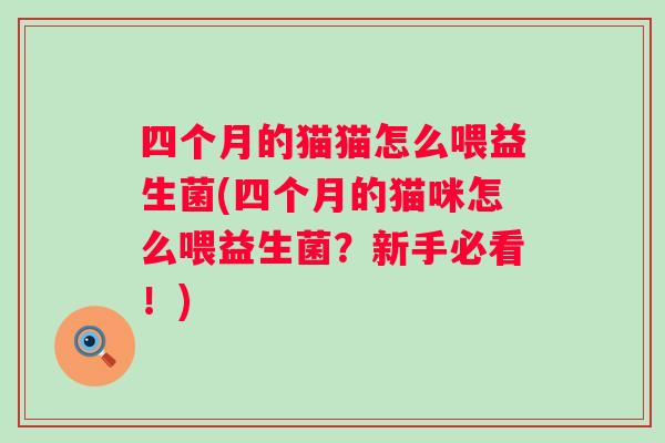 四个月的猫猫怎么喂益生菌(四个月的猫咪怎么喂益生菌?新手必看!) 四个月的猫猫怎么喂益生菌(四个月的猫咪怎么喂益生菌?新手必看!)