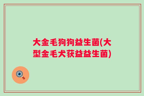 大金毛狗狗益生菌(大型金毛犬获益益生菌)