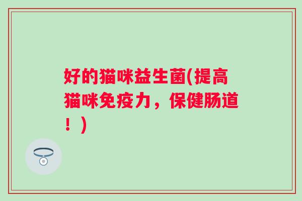 好的猫咪益生菌(提高猫咪力，保健肠道！)