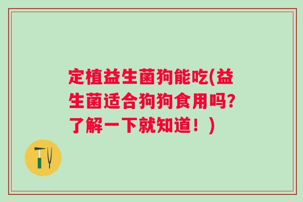 定植益生菌狗能吃(益生菌适合狗狗食用吗？了解一下就知道！)