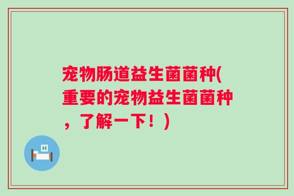 宠物肠道益生菌菌种(重要的宠物益生菌菌种，了解一下！)