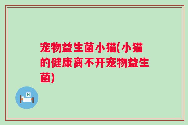 宠物益生菌小猫(小猫的健康离不开宠物益生菌)