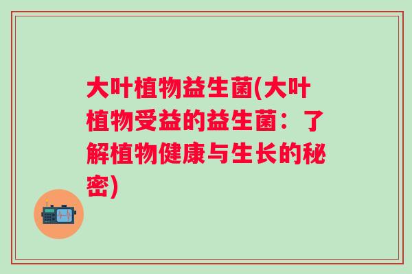 大叶植物益生菌(大叶植物受益的益生菌：了解植物健康与生长的秘密)