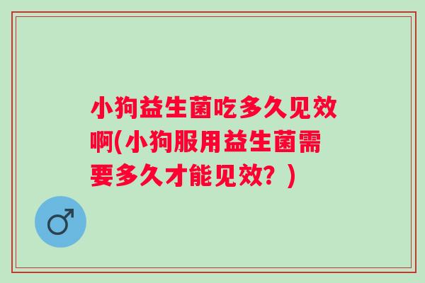 小狗益生菌吃多久见效啊(小狗服用益生菌需要多久才能见效？)