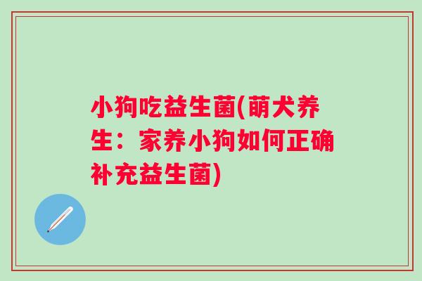 小狗吃益生菌(萌犬养生:家养小狗如何正确补充益生菌) 小狗吃益生菌(萌犬养生:家养小狗如何正确补充益生菌)