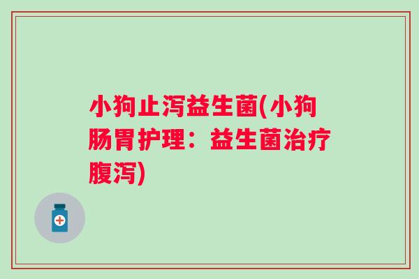 小狗止泻益生菌(小狗肠胃护理:益生菌) 小狗止泻益生菌(小狗肠胃护理:益生菌)