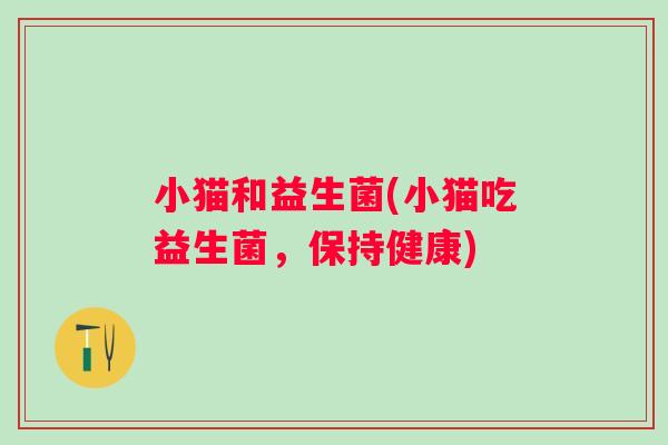 小猫和益生菌(小猫吃益生菌,保持健康) 小猫和益生菌(小猫吃益生菌,保持健康)