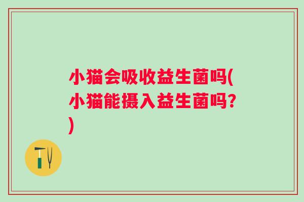 小猫会吸收益生菌吗(小猫能摄入益生菌吗?) 小猫会吸收益生菌吗(小猫能摄入益生菌吗?)