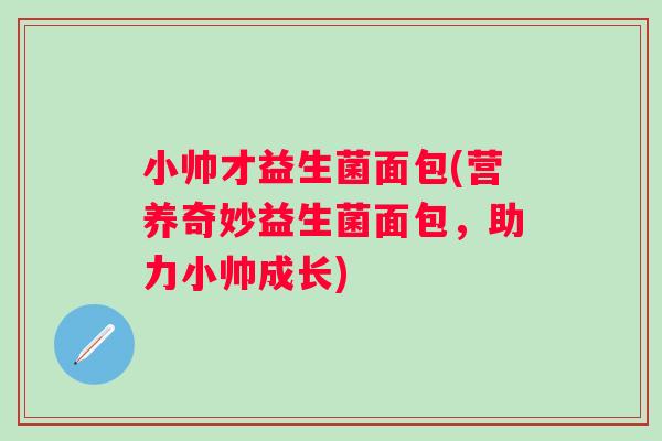小帅才益生菌面包(营养奇妙益生菌面包,助力小帅成长) 小帅才益生菌面包(营养奇妙益生菌面包,助力小帅成长)