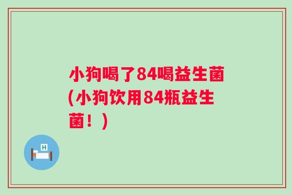 小狗喝了84喝益生菌(小狗饮用84瓶益生菌!) 小狗喝了84喝益生菌(小狗饮用84瓶益生菌!)